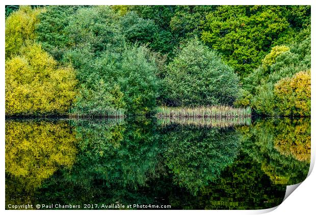 Colourful Reflection Print by Paul Chambers