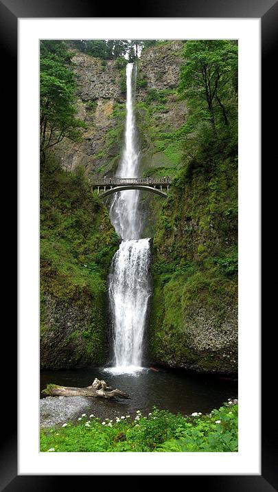 Multnomah Falls Framed Mounted Print by Steve Bieberich