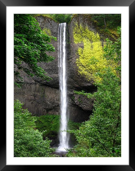 Oregon Waterfall Framed Mounted Print by Steve Bieberich