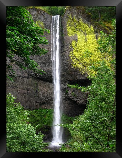 Oregon Waterfall Framed Print by Steve Bieberich