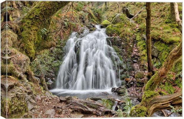 Tom Gill Waterfall Canvas Print by Roger Green