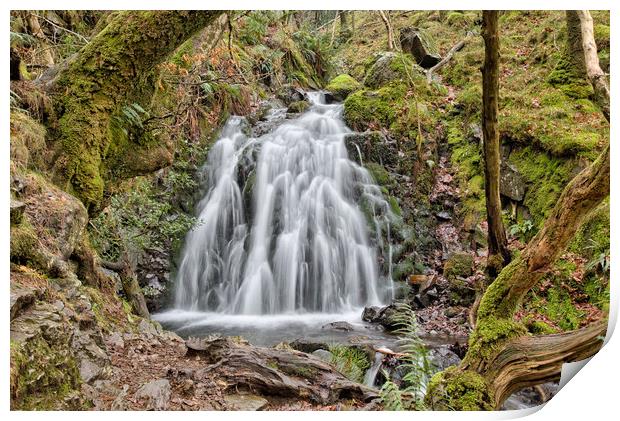 Tom Gill Waterfall Print by Roger Green