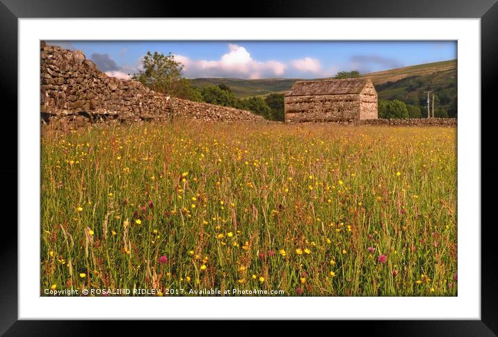 "EVENING SUNSHINE ON THE WILDFLOWERS OF MUKER MEAD Framed Mounted Print by ROS RIDLEY