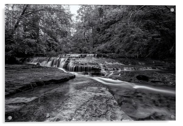 Ledge Falls, No. 2 bw Acrylic by Belinda Greb