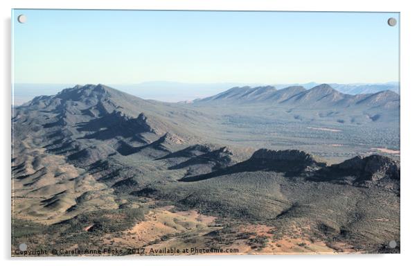 Wilpena Pound, Southern Flinders Ranges Acrylic by Carole-Anne Fooks