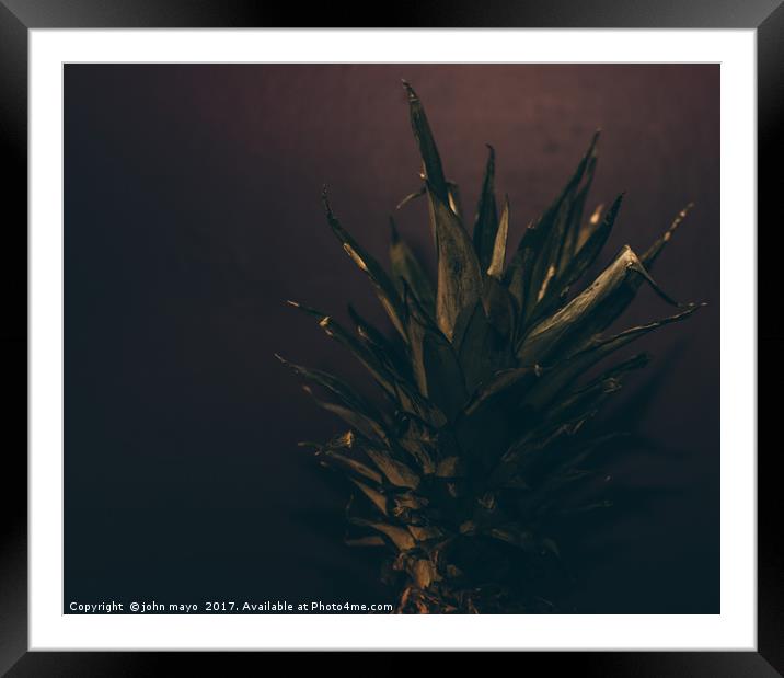 Pineapple top Framed Mounted Print by john mayo