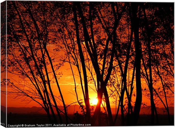 Sunrise Through The Trees Canvas Print by Graham Taylor