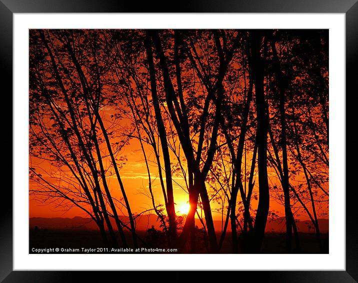 Sunrise Through The Trees Framed Mounted Print by Graham Taylor