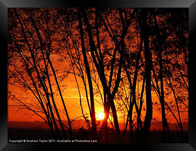 Sunrise Through The Trees Framed Print by Graham Taylor