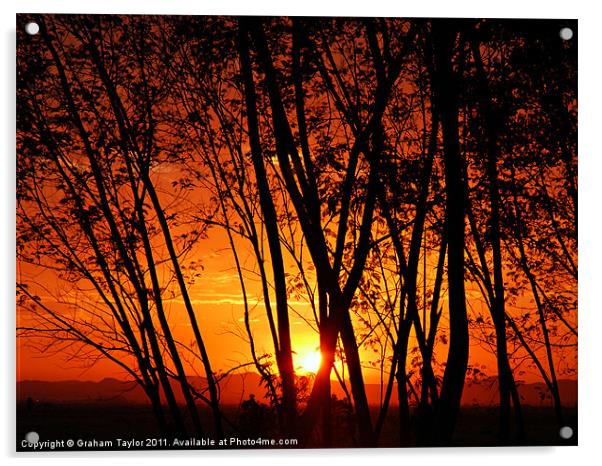 Sunrise Through The Trees Acrylic by Graham Taylor