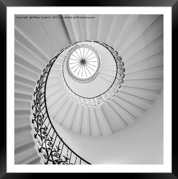 The Tulip Spiral Stairs - Black and White Framed Mounted Print by Milton Cogheil