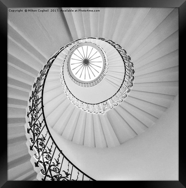 The Tulip Spiral Stairs - Black and White Framed Print by Milton Cogheil