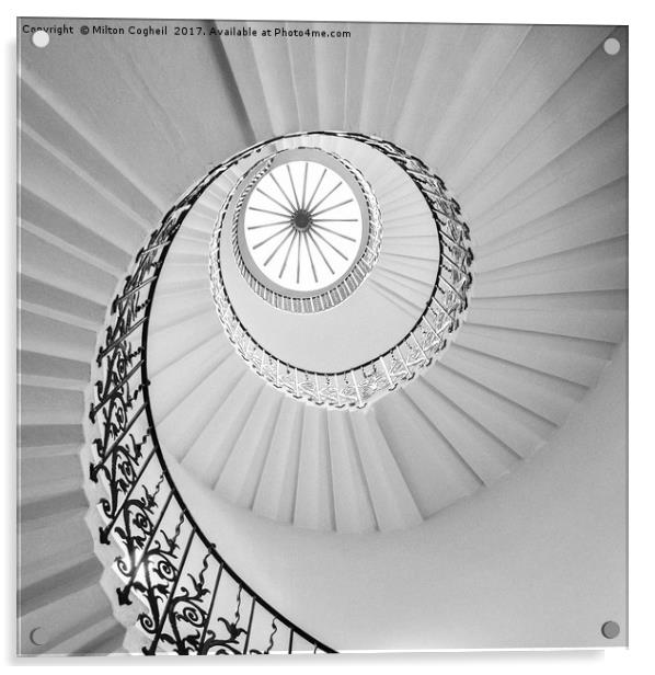 The Tulip Spiral Stairs - Black and White Acrylic by Milton Cogheil