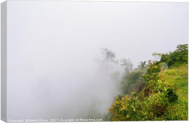 rainforest fog Canvas Print by Brent Olson