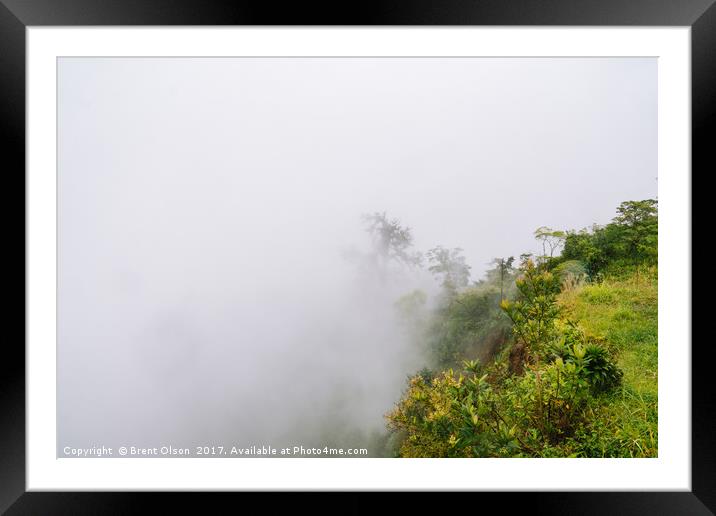 rainforest fog Framed Mounted Print by Brent Olson
