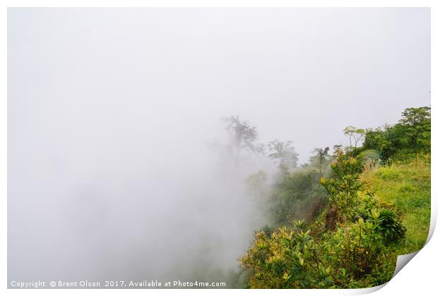 rainforest fog Print by Brent Olson