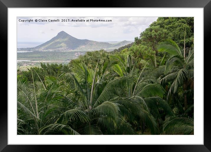 Tropical Framed Mounted Print by Claire Castelli