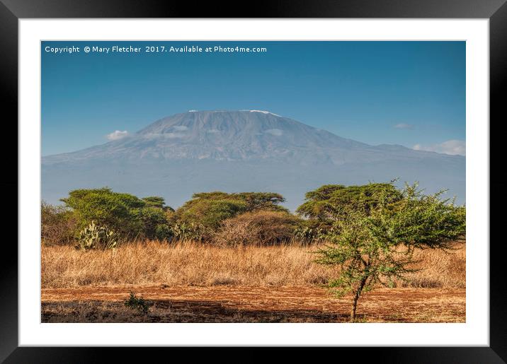 Mount Kilimanjaro Framed Mounted Print by Mary Fletcher