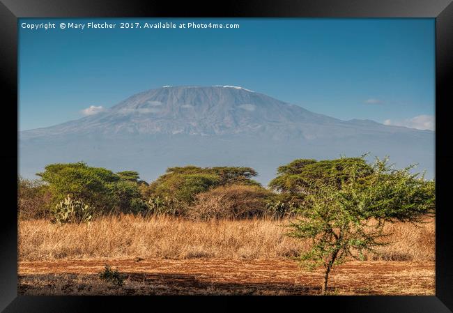 Mount Kilimanjaro Framed Print by Mary Fletcher