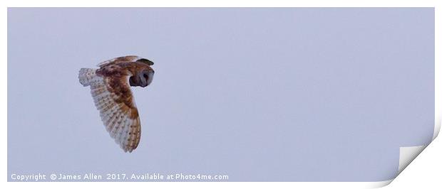 Pretty wings  Print by James Allen