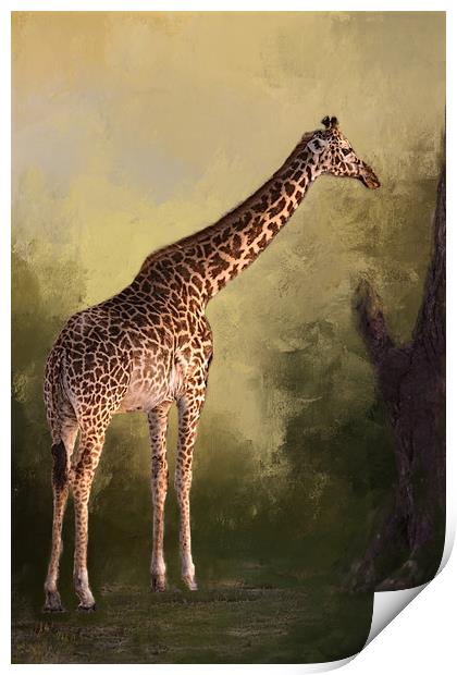 Giraffe Print by David Owen