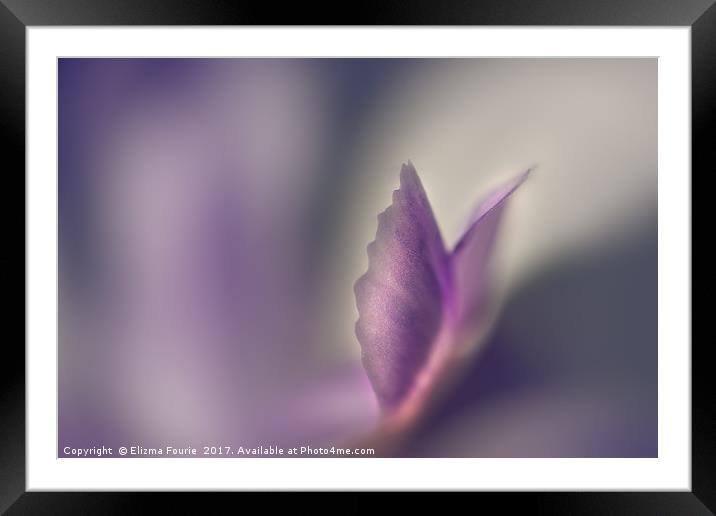 Fairy wings Framed Mounted Print by Elizma Fourie