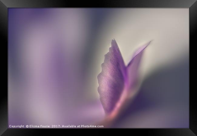 Fairy wings Framed Print by Elizma Fourie