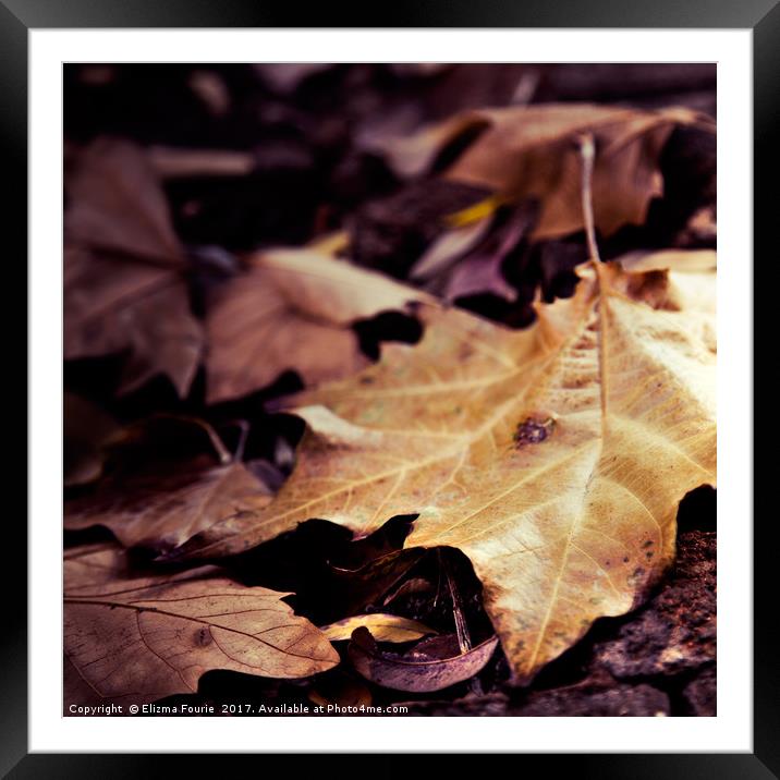 Autumn Leaves Framed Mounted Print by Elizma Fourie