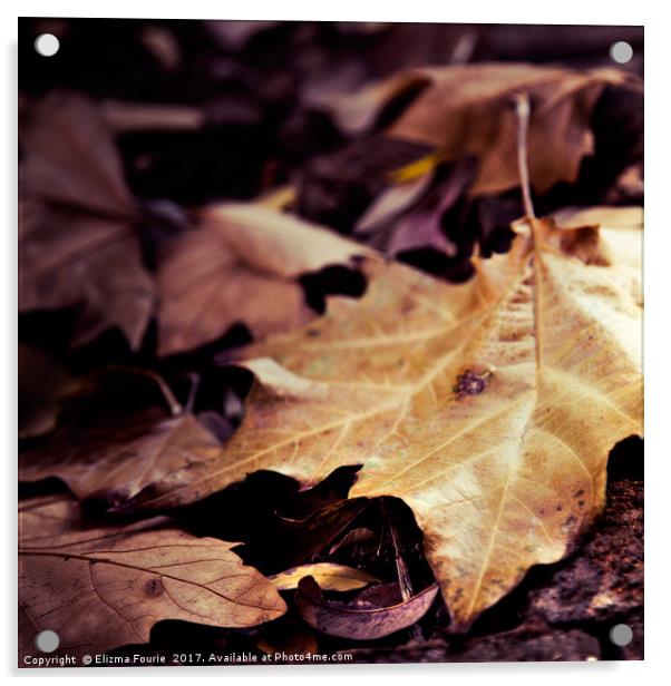Autumn Leaves Acrylic by Elizma Fourie