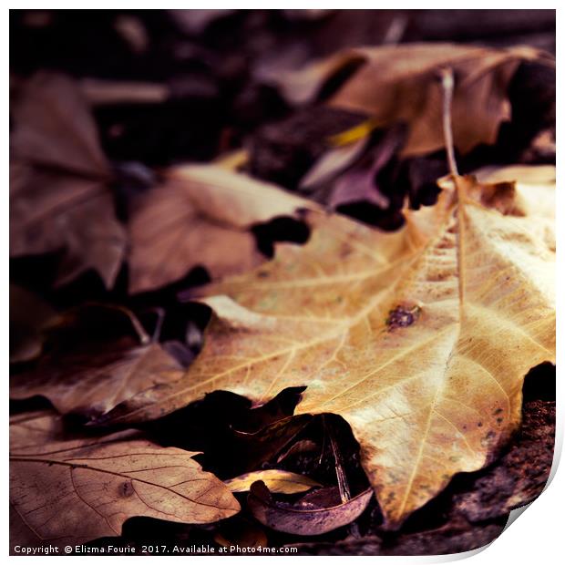 Autumn Leaves Print by Elizma Fourie