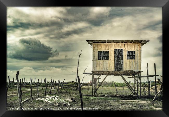 Traditional Cane House Ecuador Framed Print by Daniel Ferreira-Leite