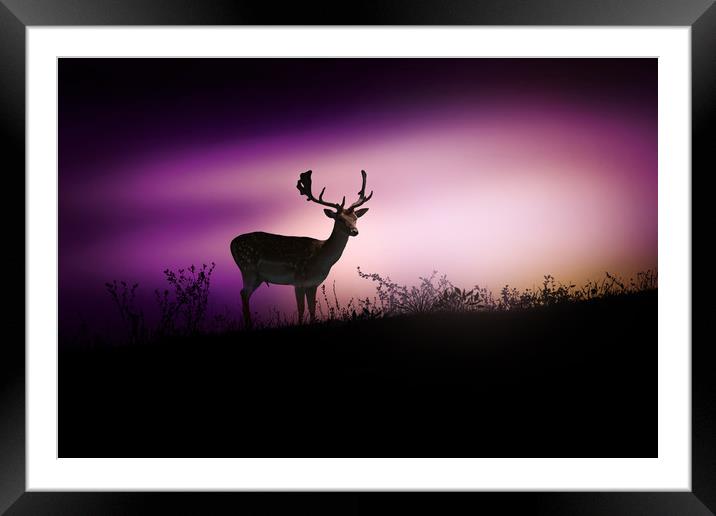 Silhouette of a young deer in the forest at sunset Framed Mounted Print by Guido Parmiggiani