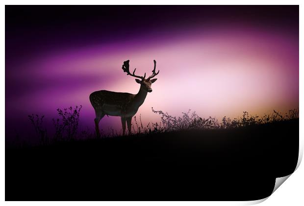 Silhouette of a young deer in the forest at sunset Print by Guido Parmiggiani