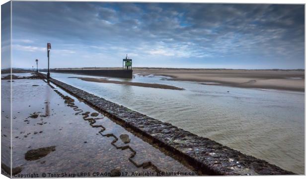 Entrance to Rye Harbour Canvas Print by Tony Sharp LRPS CPAGB