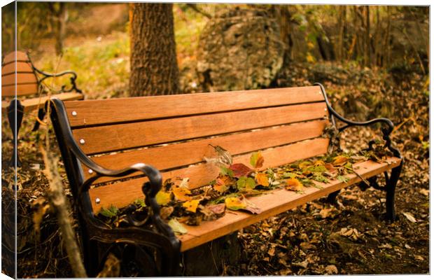 waiting Autumn Bench Canvas Print by Ambir Tolang