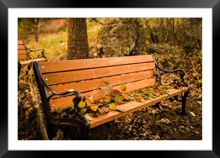 waiting Autumn Bench Framed Mounted Print by Ambir Tolang