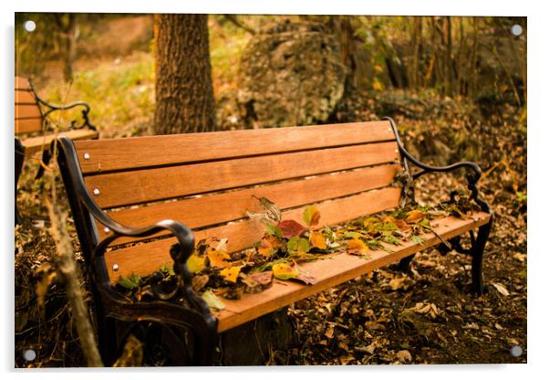 waiting Autumn Bench Acrylic by Ambir Tolang
