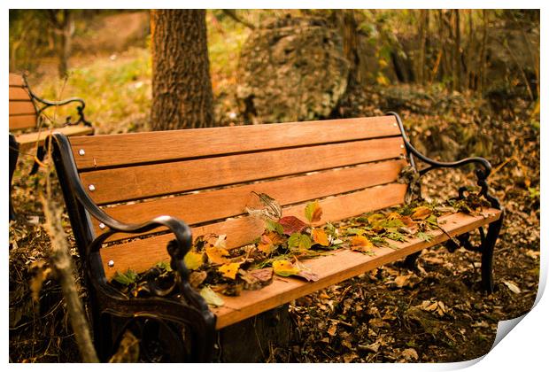 waiting Autumn Bench Print by Ambir Tolang