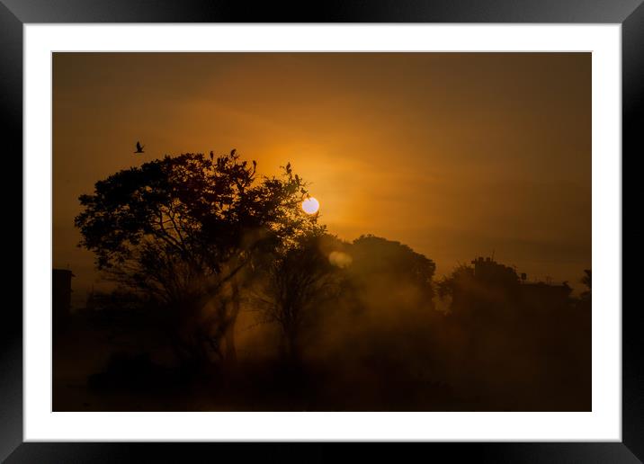 Playing birds with Sunrise Framed Mounted Print by Ambir Tolang