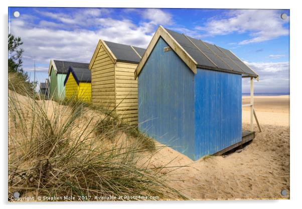 Beach Huts at Wells Acrylic by Stephen Mole