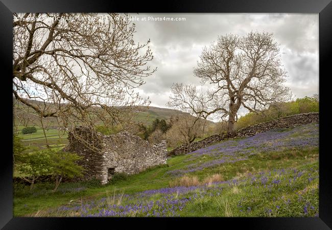 Bluebells and Ruin Framed Print by MICHAEL YATES