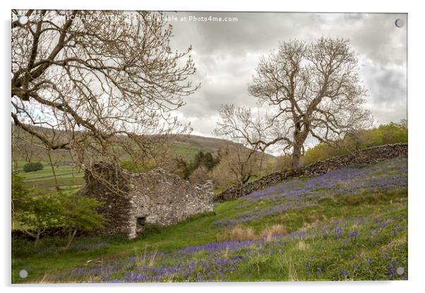 Bluebells and Ruin Acrylic by MICHAEL YATES