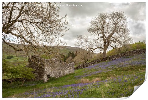 Bluebells and Ruin Print by MICHAEL YATES