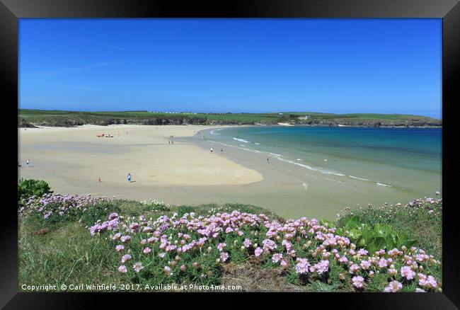 Harlyn Bay in Cornwall, England. Framed Print by Carl Whitfield