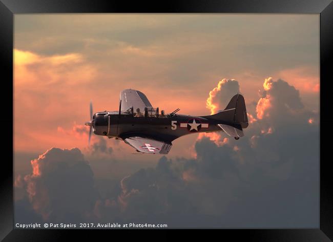 SBD  - Dauntless Framed Print by Pat Speirs