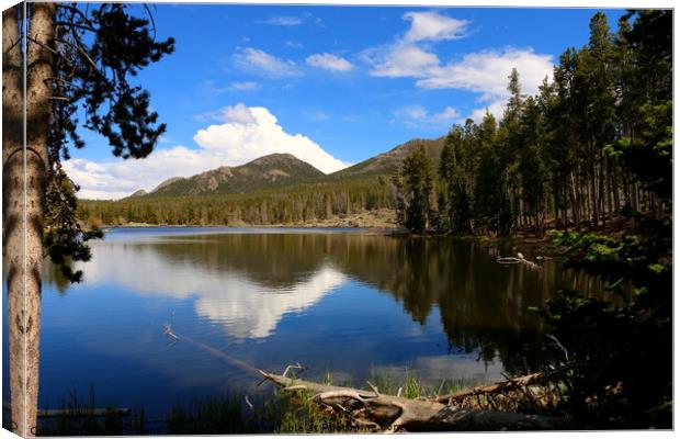 Dreamy Lake in The Rockies Canvas Print by Christiane Schulze