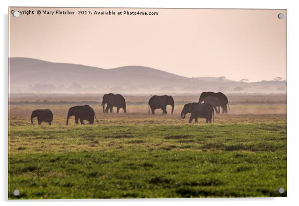 Elephant Herd Acrylic by Mary Fletcher