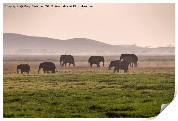 Elephant Herd Print by Mary Fletcher