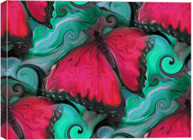 Hot Pink Butterfly Canvas Print by Heather Newton