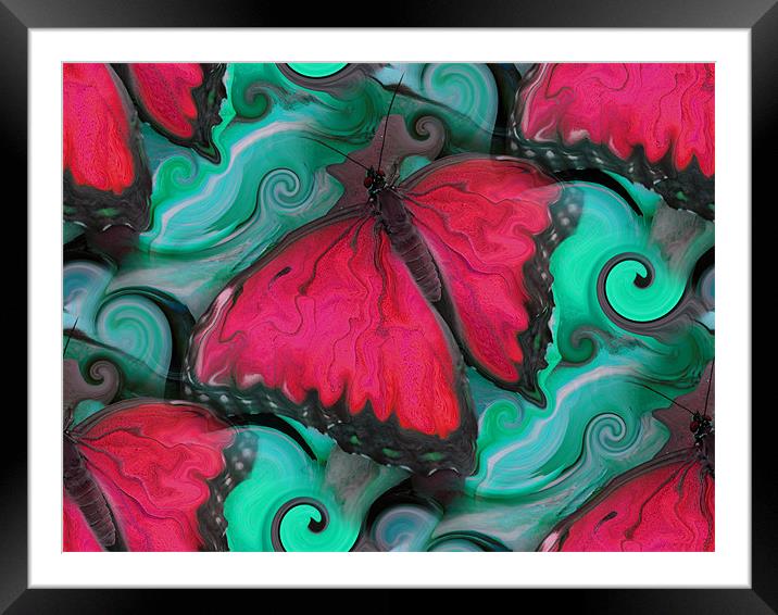 Hot Pink Butterfly Framed Mounted Print by Heather Newton
